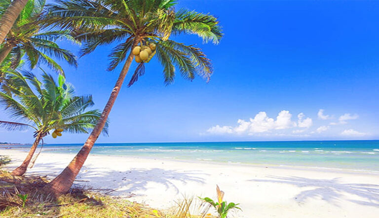 Playa 768 x 433`x